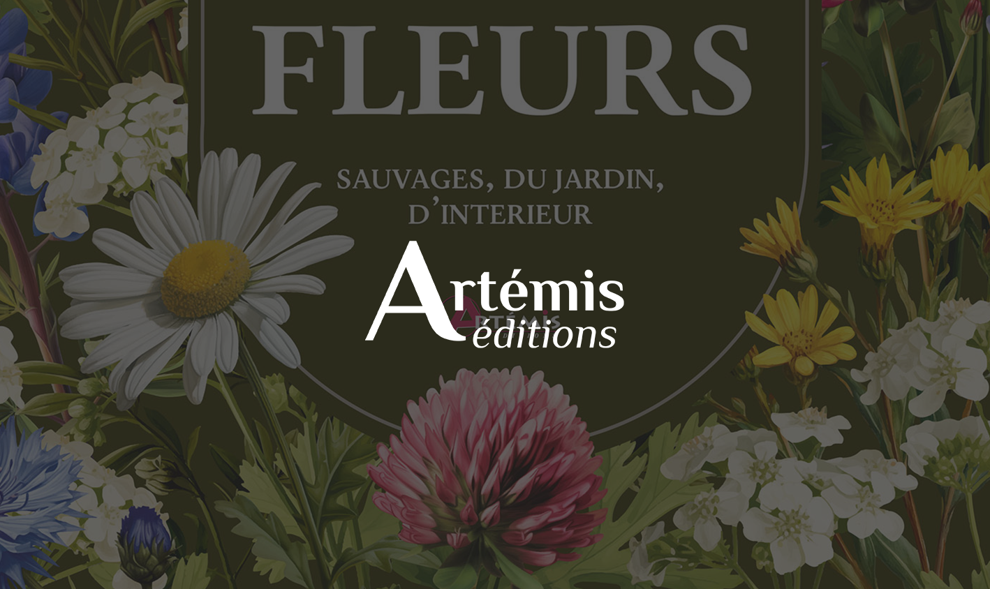 Sans titre-4-Récupéré