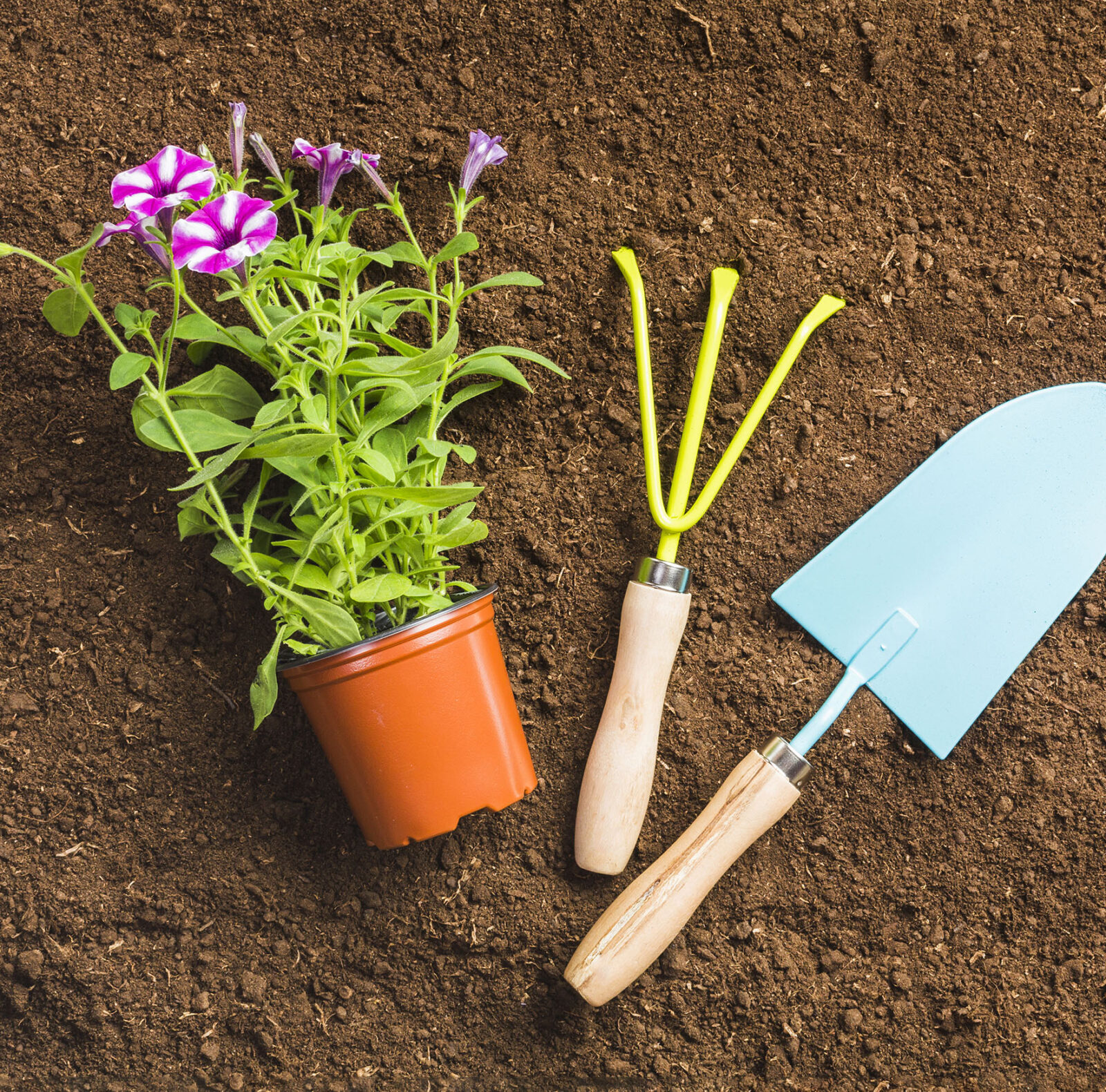vue-de-dessus-des-outils-de-jardinage-sur-le-sol